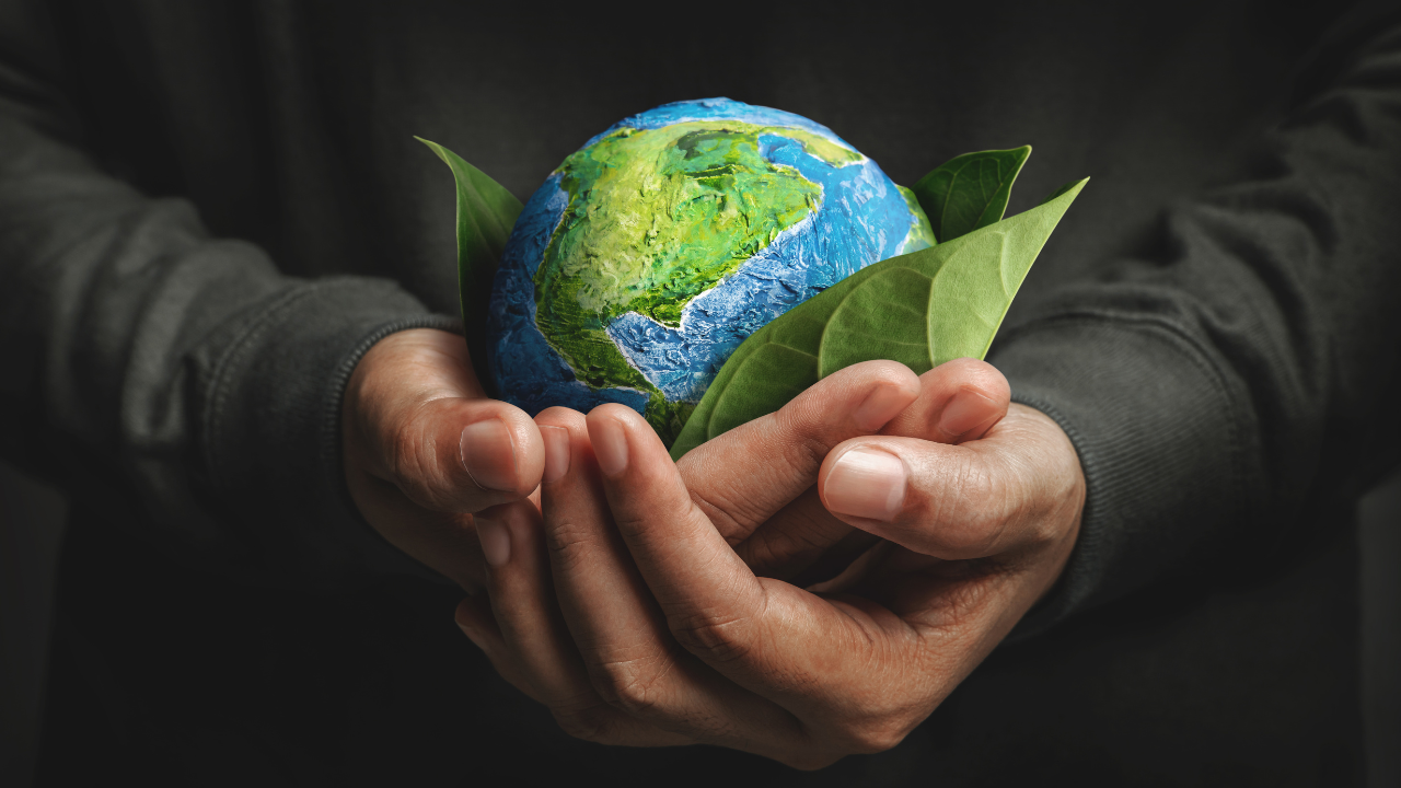 Environmental Sustainability